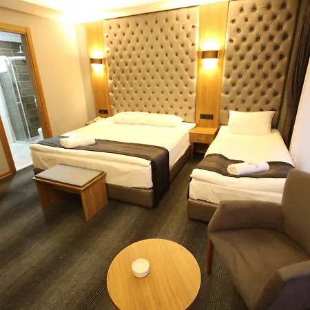 酒店 Grand Silay 2*